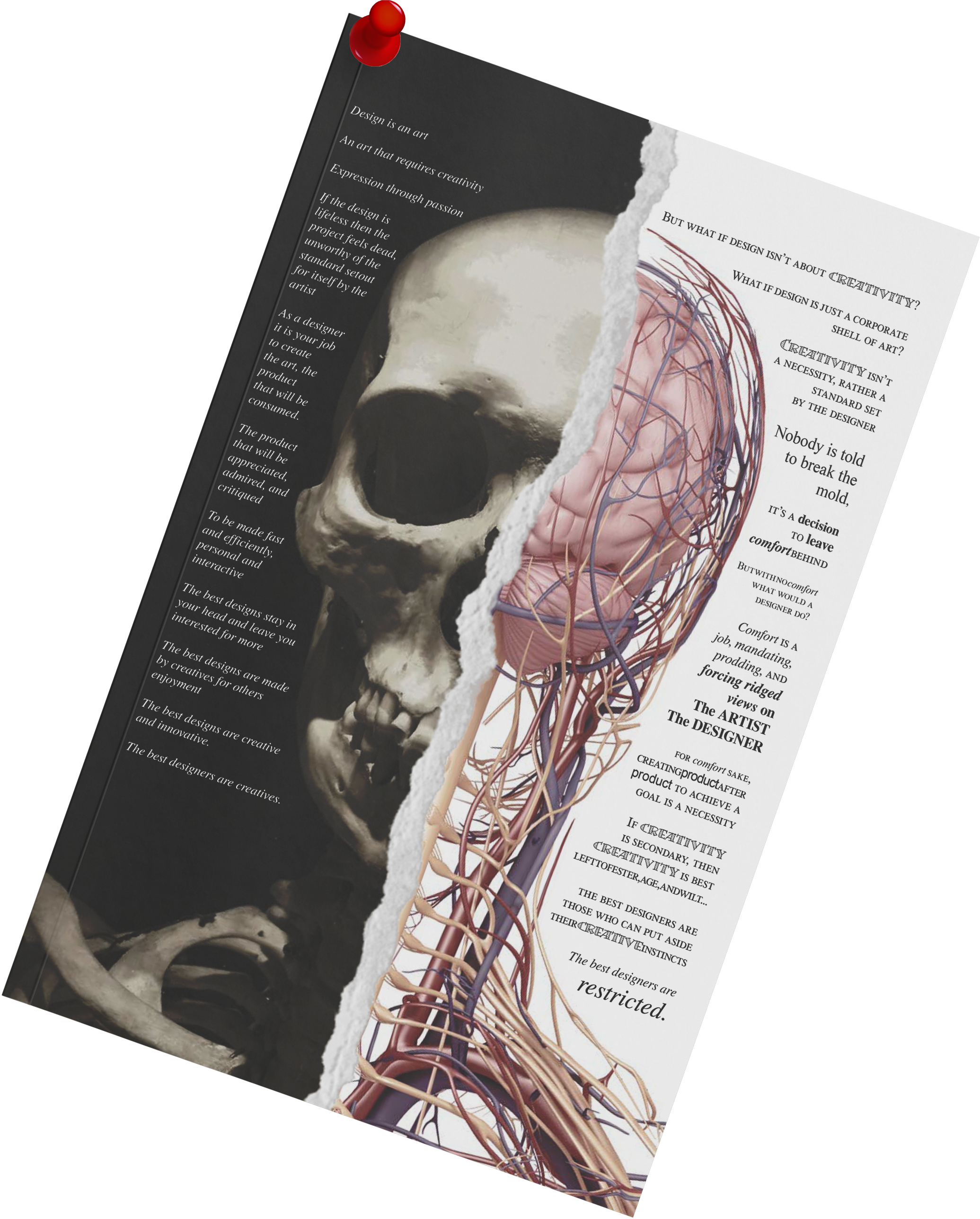 Design Manifesto project